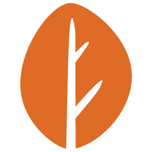 pureplayclubs.com favicon
